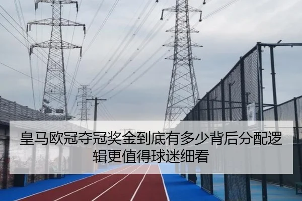皇马欧冠夺冠奖金到底有多少背后分配逻辑更值得球迷细看